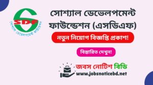development-foundation-job-circular