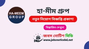 ha-meem-group-job-circular