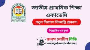 জাতীয় প্রাথমিক শিক্ষা একাডেমি (নেপ) নিয়োগ বিজ্ঞপ্তি ২০২৬-NAPE Job Circular 2026 nape-job-circular