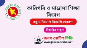 কারিগরি ও মাদ্রাসা শিক্ষা বিভাগ নিয়োগ বিজ্ঞপ্তি ২০২৬-TMED Job Circular 2026 tmed-job-circular