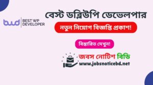 best-wp-developer-job-circular