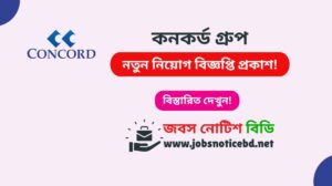 concord-group-job-circular