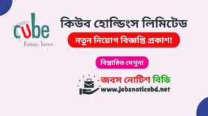 cube-holdings-limited-job-circular