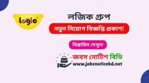logic-group-job-circular
