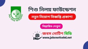 শিশু নিলয় ফাউন্ডেশন নিয়োগ বিজ্ঞপ্তি ২০২৬-Shishu Niloy Foundation Job Circular 2026 shishu-niloy-foundation-job-circular